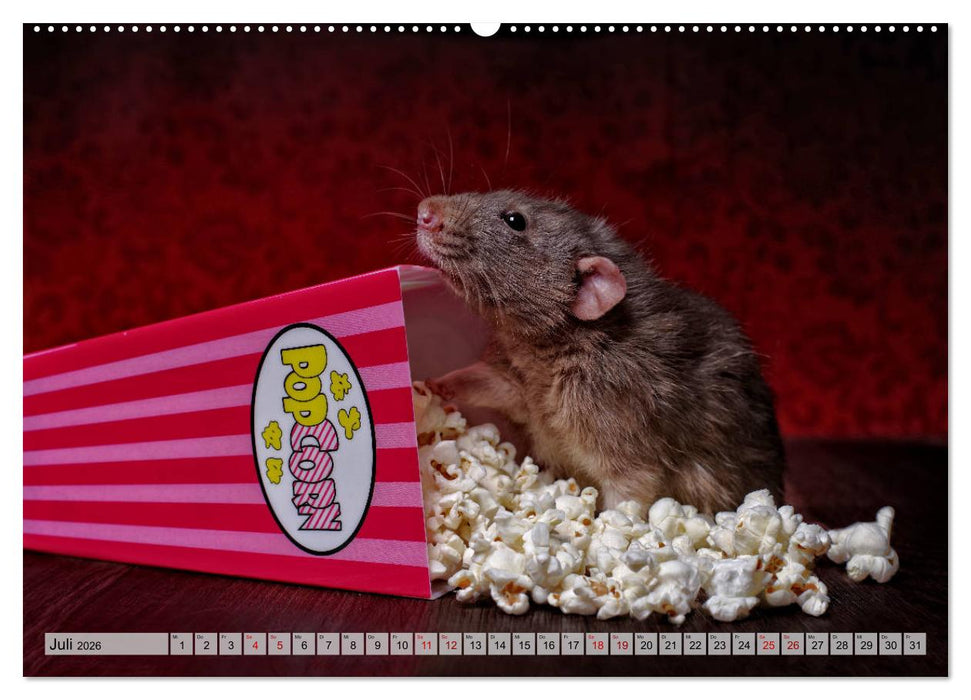 Rattenscharf und zuckersüß (CALVENDO Premium Wandkalender 2026)