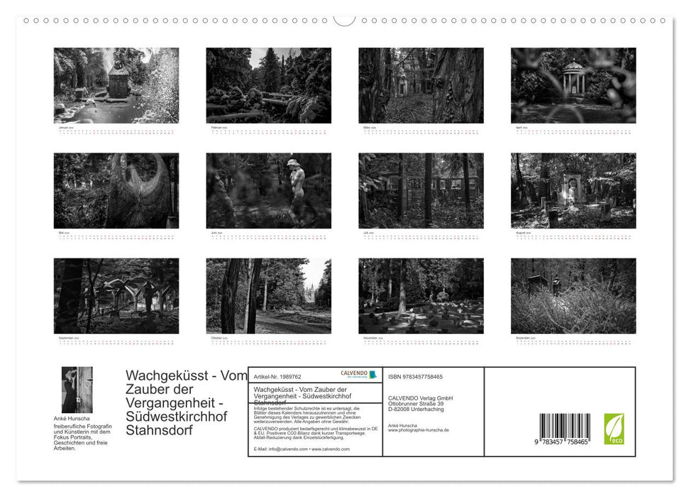 Wachgeküsst - Vom Zauber der Vergangenheit - Südwestkirchhof Stahnsdorf (CALVENDO Premium Wandkalender 2026)