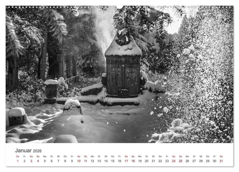 Wachgeküsst - Vom Zauber der Vergangenheit - Südwestkirchhof Stahnsdorf (CALVENDO Premium Wandkalender 2026)