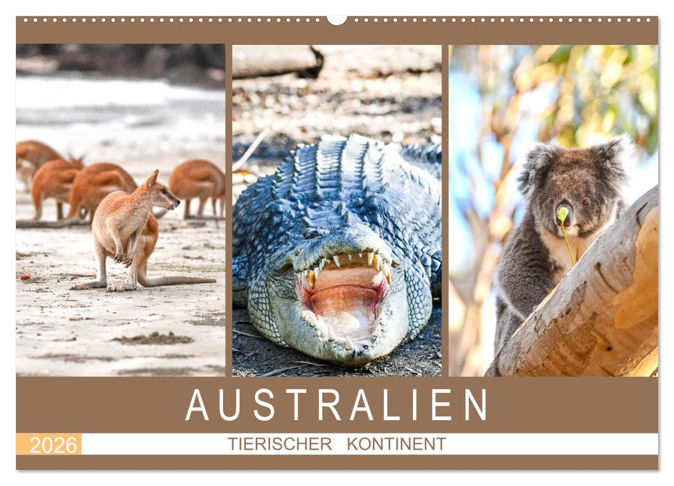 Australien, tierischer Kontinent (CALVENDO Wandkalender 2026)