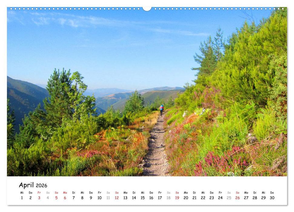 Jakobsweg - Camino Primitivo (CALVENDO Premium Wandkalender 2026)