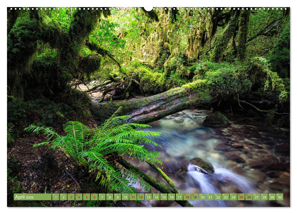 Patagonien: Einzigartige Landschaft am Ende der Welt (CALVENDO Premium Wandkalender 2026)