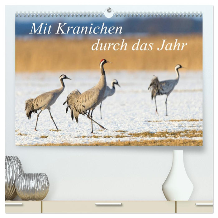Mit Kranichen durch das Jahr (CALVENDO Premium Wandkalender 2026)