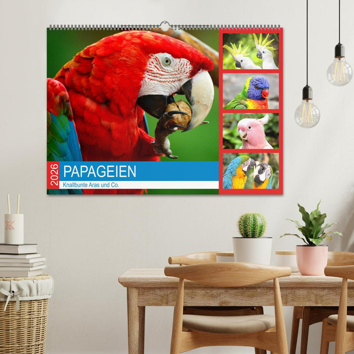 Papageien. Knallbunte Aras und Co. (CALVENDO Wandkalender 2026)
