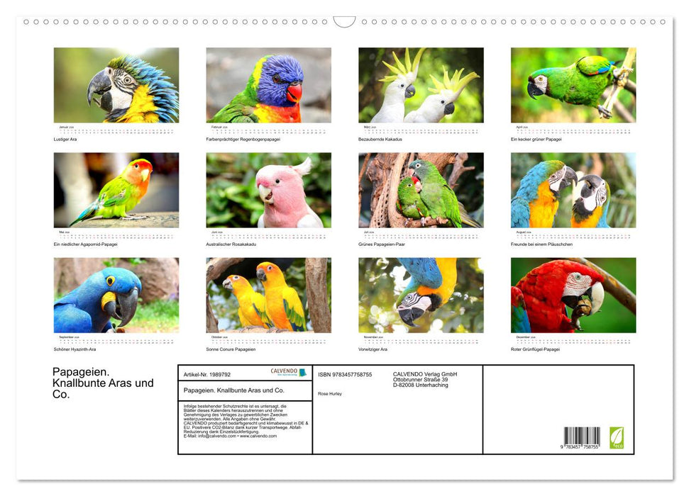 Papageien. Knallbunte Aras und Co. (CALVENDO Wandkalender 2026)