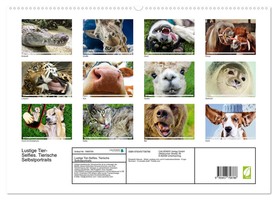 Lustige Tier-Selfies. Tierische Selbstportraits (CALVENDO Premium Wandkalender 2026)