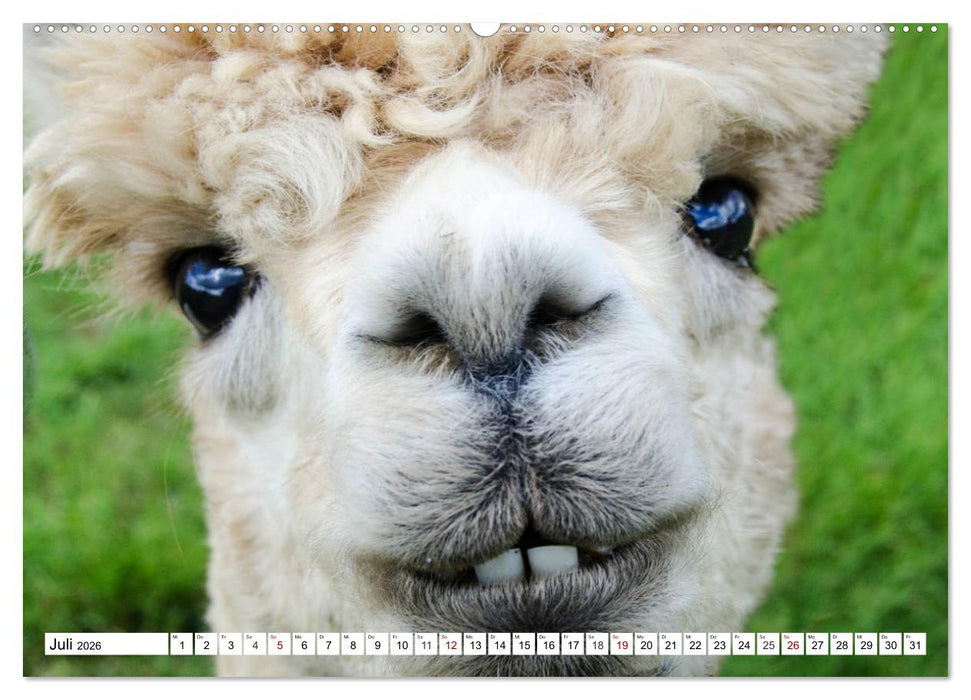 Lustige Tier-Selfies. Tierische Selbstportraits (CALVENDO Premium Wandkalender 2026)