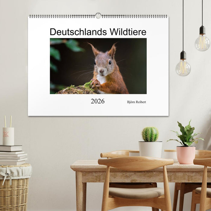 Deutschlands Wildtiere (CALVENDO Wandkalender 2026)