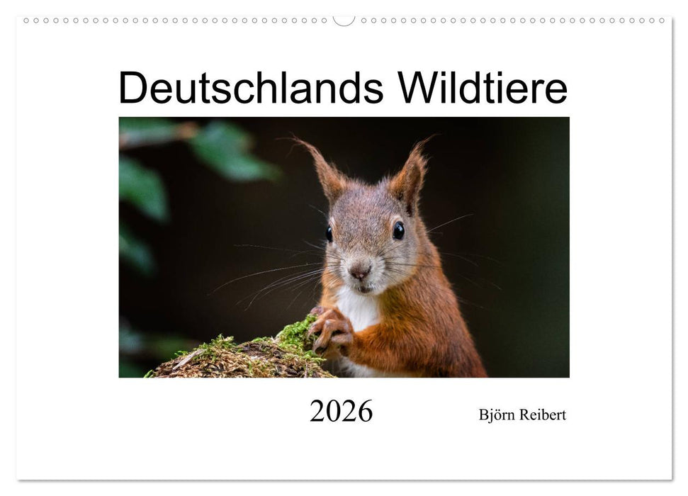 Deutschlands Wildtiere (CALVENDO Wandkalender 2026)