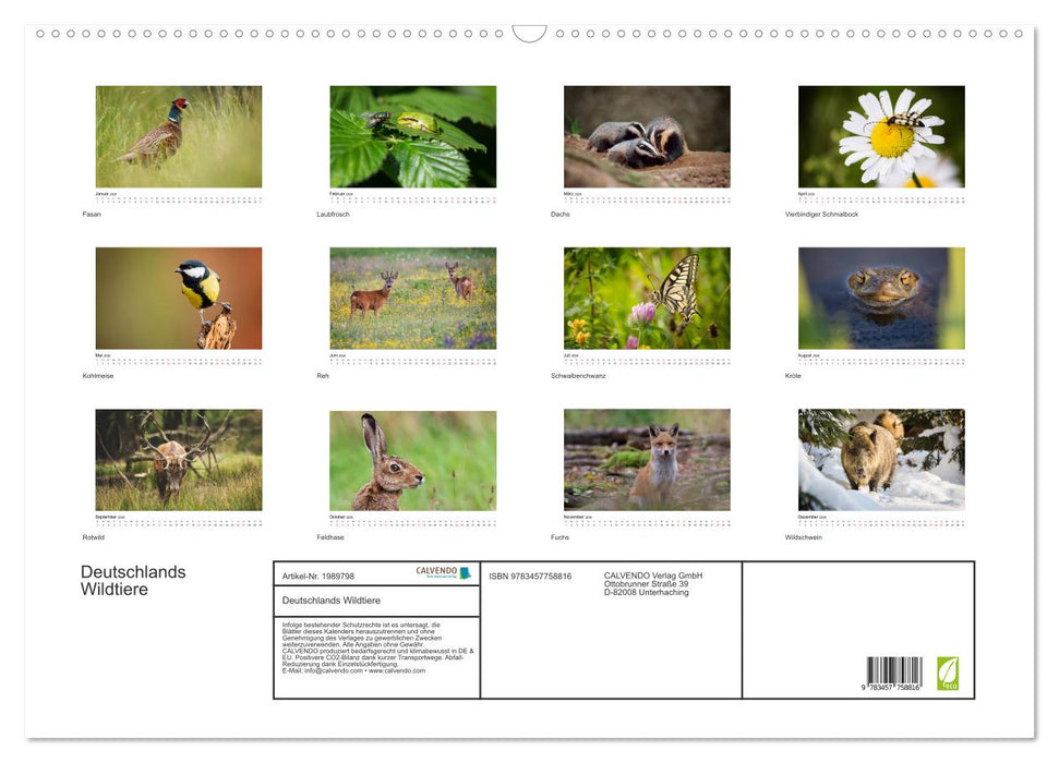 Deutschlands Wildtiere (CALVENDO Wandkalender 2026)