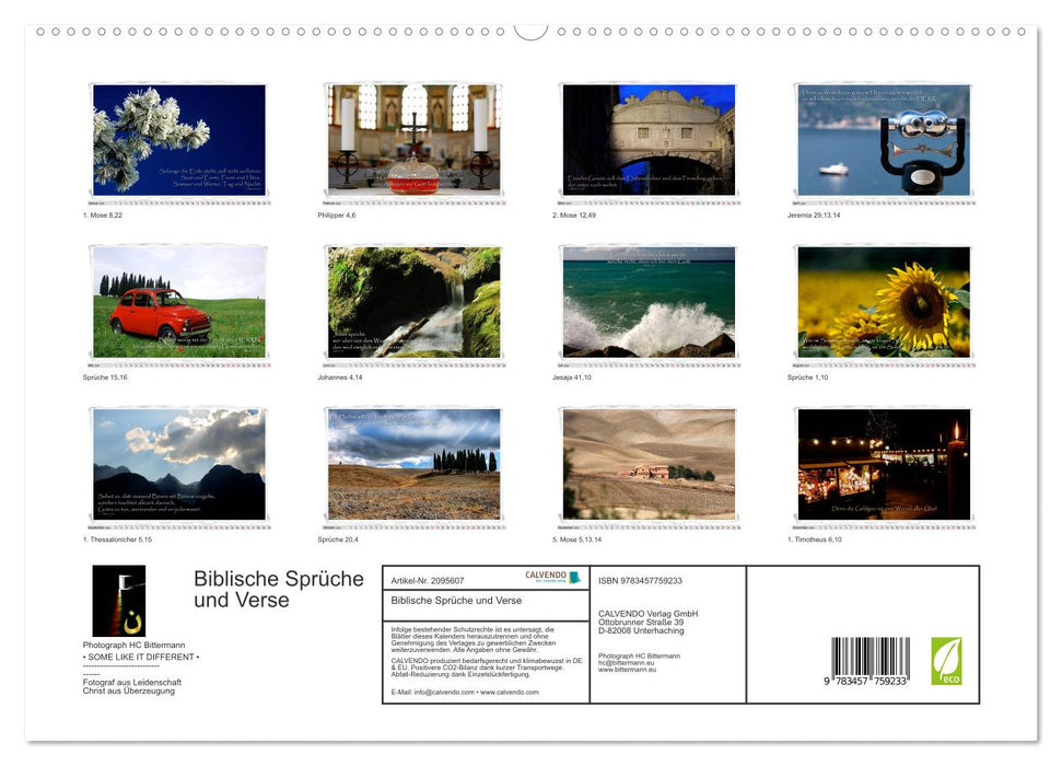 Biblische Sprüche und Verse (CALVENDO Premium Wandkalender 2026)