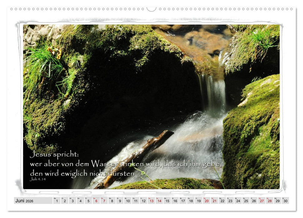 Biblische Sprüche und Verse (CALVENDO Premium Wandkalender 2026)