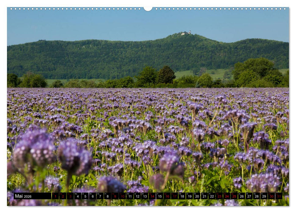 Rund um die Teck (CALVENDO Premium Wandkalender 2026)