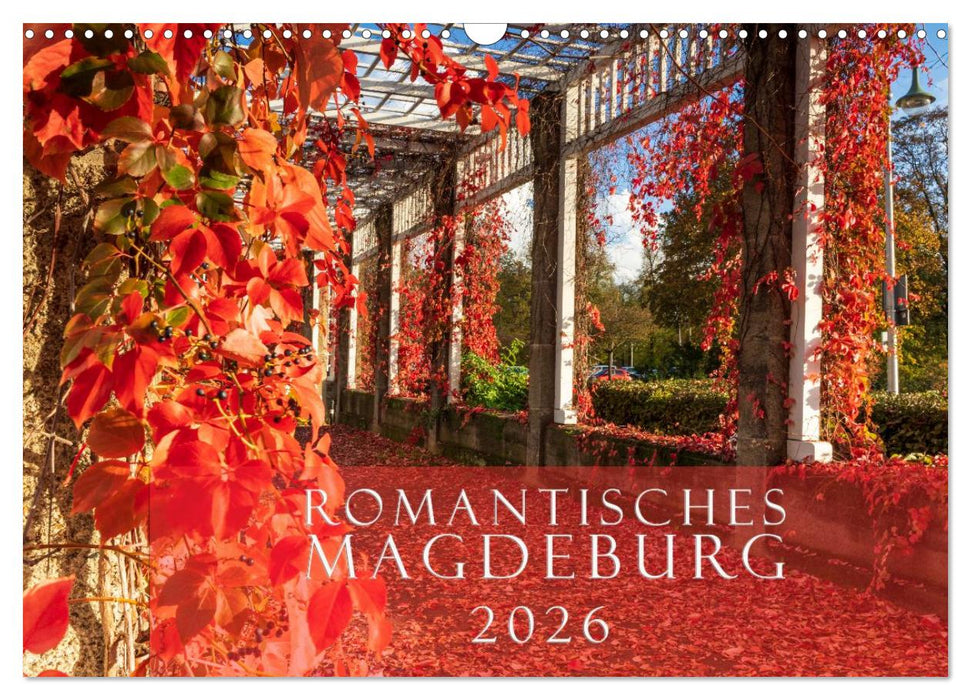 Romantisches Magdeburg (CALVENDO Wandkalender 2026)