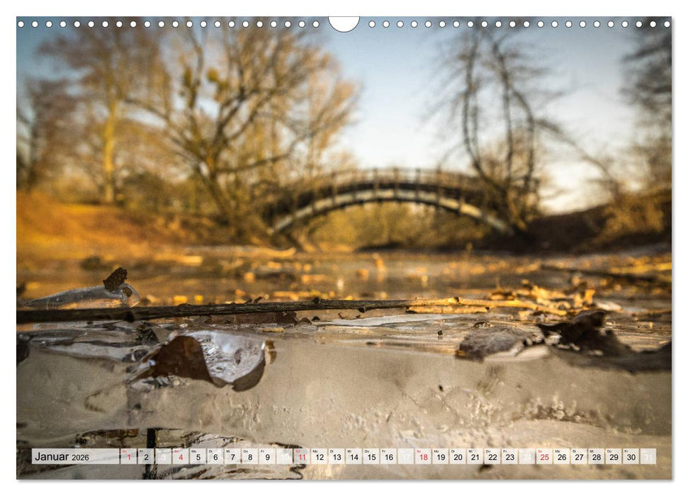 Romantisches Magdeburg (CALVENDO Wandkalender 2026)