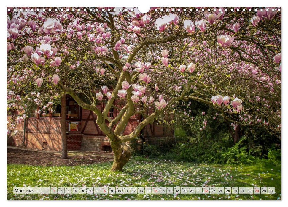 Romantisches Magdeburg (CALVENDO Wandkalender 2026)