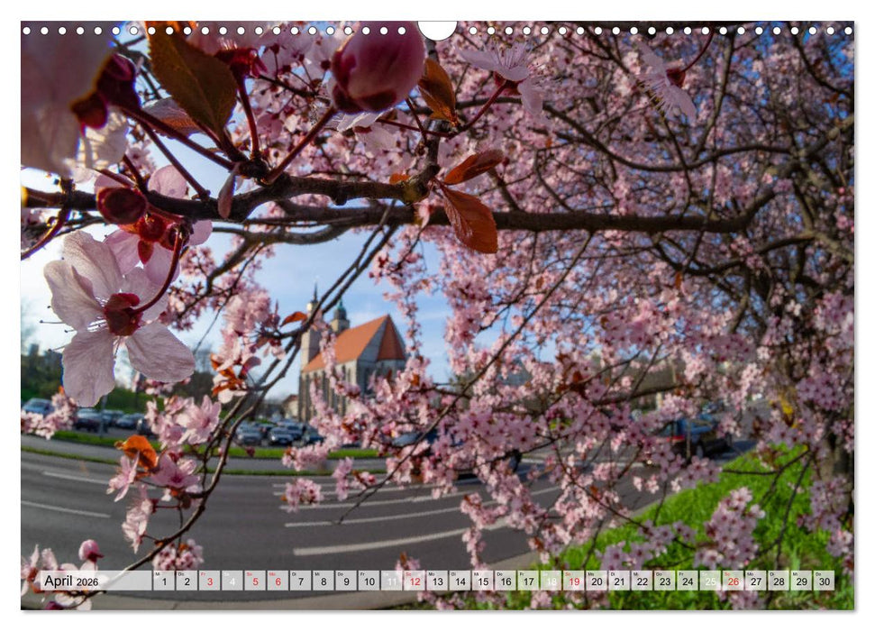 Romantisches Magdeburg (CALVENDO Wandkalender 2026)