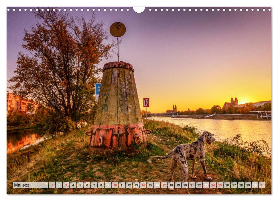 Romantisches Magdeburg (CALVENDO Wandkalender 2026)