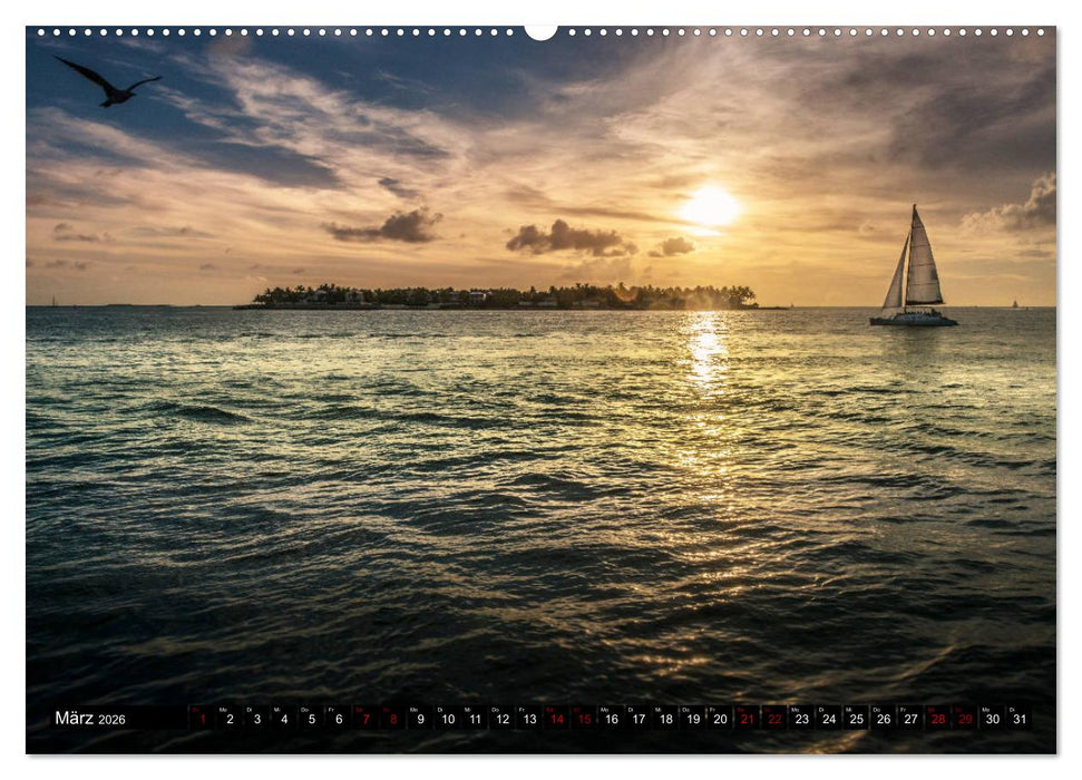 Florida. Der Sonne entgegen. (CALVENDO Premium Wandkalender 2026)