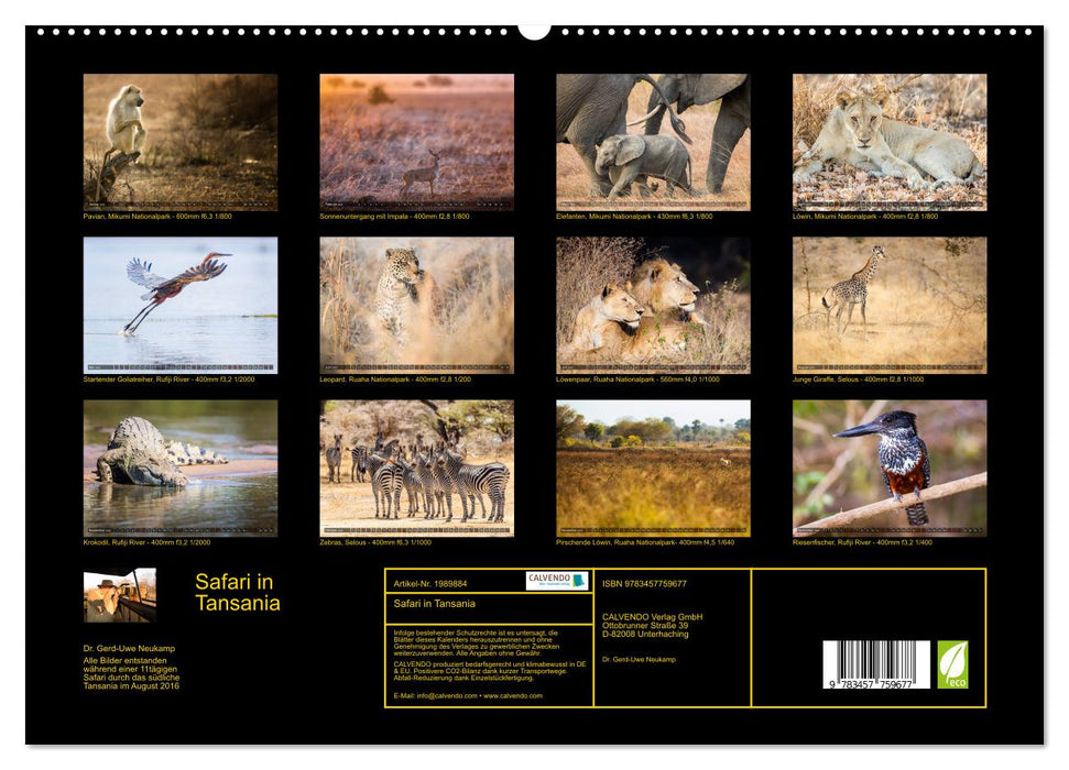 Safari in Tansania (CALVENDO Premium Wandkalender 2026)