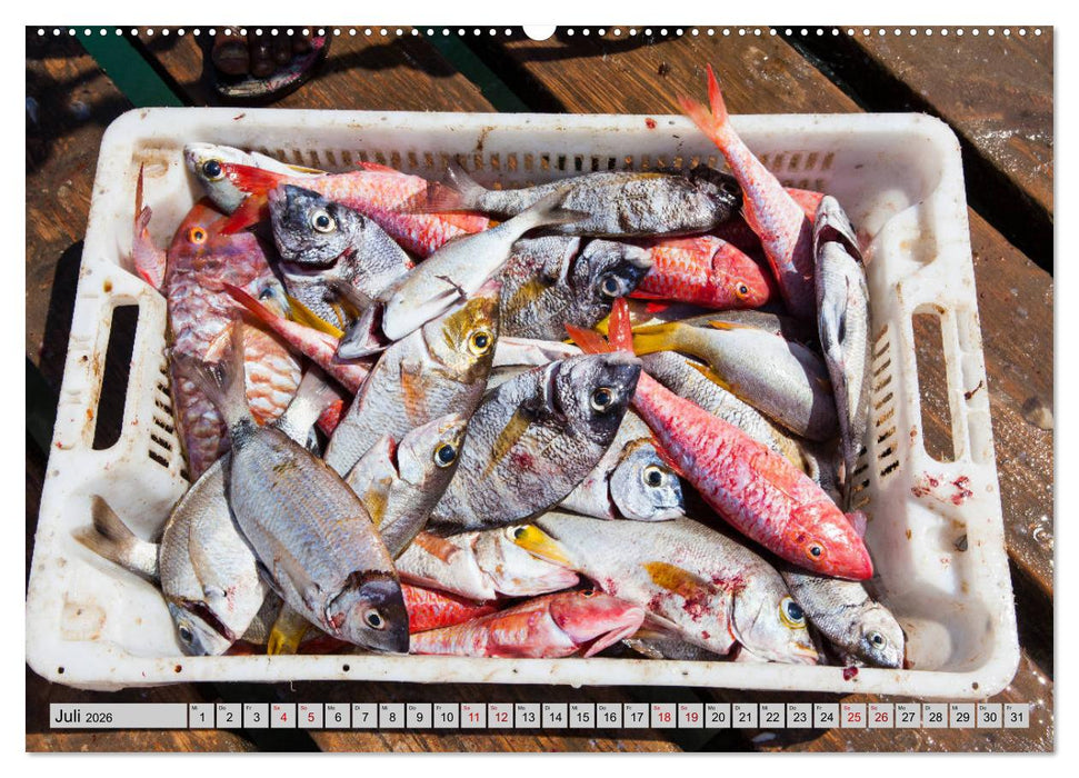 Sal - Strandperle der Kapverden (CALVENDO Premium Wandkalender 2026)