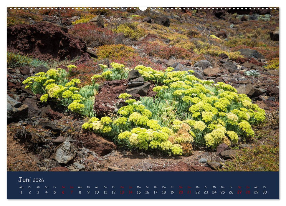 Naturwunder Madeira (CALVENDO Premium Wandkalender 2026)