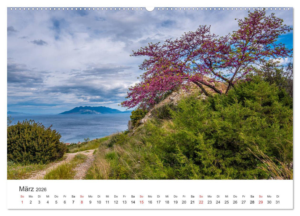 Vulkane 2026 (CALVENDO Wandkalender 2026)