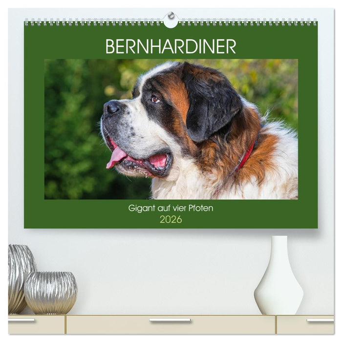 Bernhardiner - Gigant auf vier Pfoten (CALVENDO Premium Wandkalender 2026)