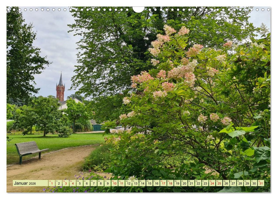 Meditatives Feldberg (CALVENDO Wandkalender 2026)