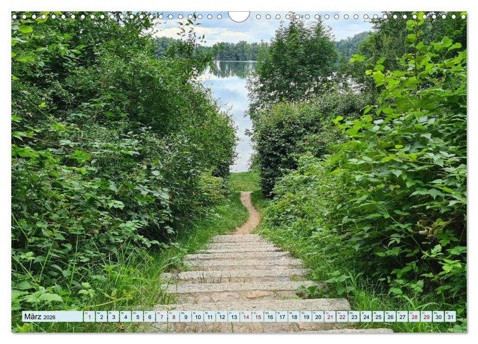 Meditatives Feldberg (CALVENDO Wandkalender 2026)