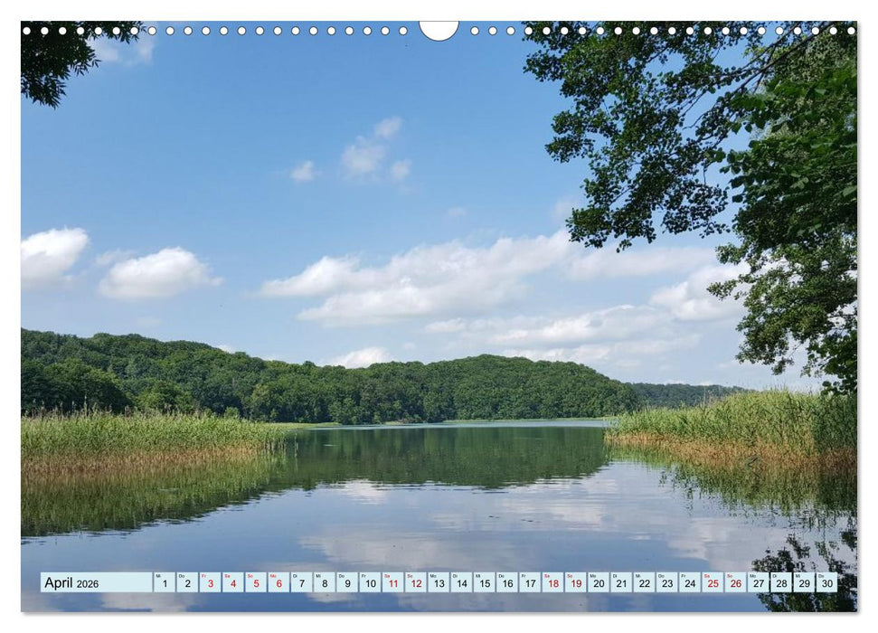 Meditatives Feldberg (CALVENDO Wandkalender 2026)