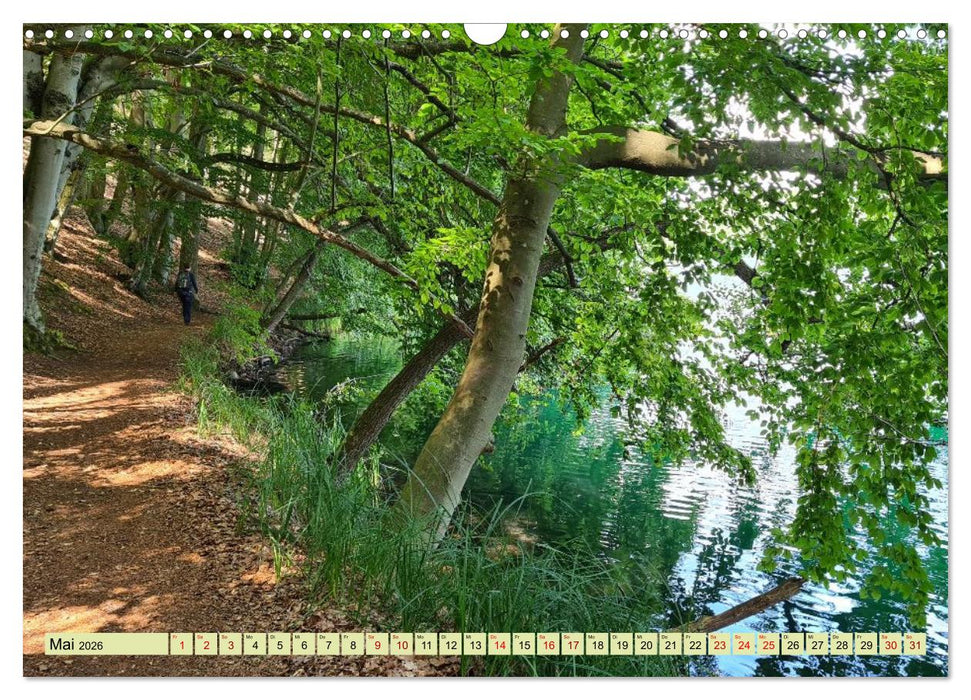 Meditatives Feldberg (CALVENDO Wandkalender 2026)