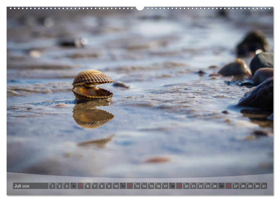 Hooksiel im Friesland (CALVENDO Premium Wandkalender 2026)