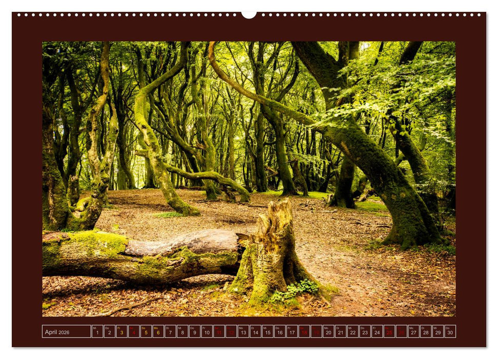 Streifzug durch Dänemark (CALVENDO Premium Wandkalender 2026)