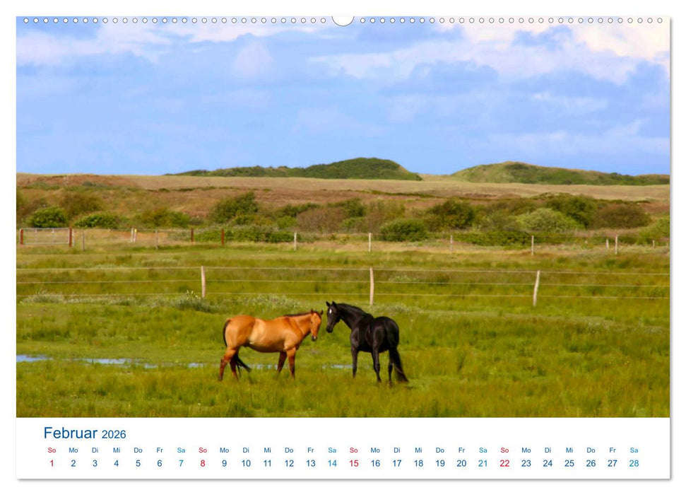 Langeoog 2026. Impressionen zwischen Hafen und Ostende (CALVENDO Premium Wandkalender 2026)