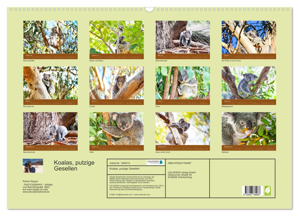 Koalas, putzige Gesellen (CALVENDO Wandkalender 2026)