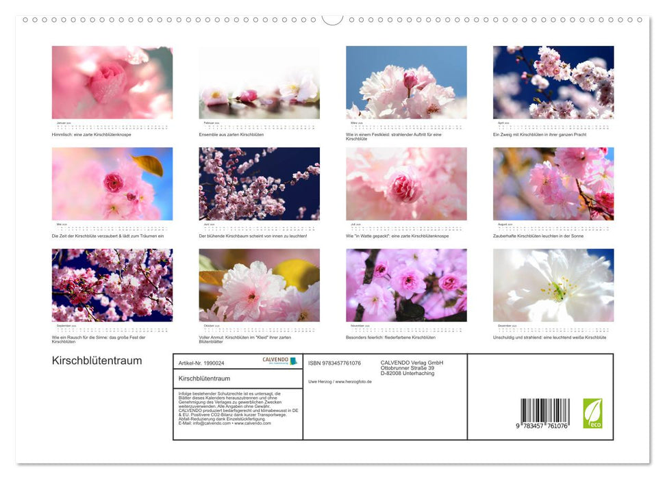 Kirschblütentraum (CALVENDO Premium Wandkalender 2026)