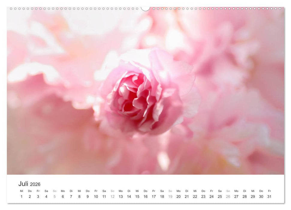 Kirschblütentraum (CALVENDO Premium Wandkalender 2026)