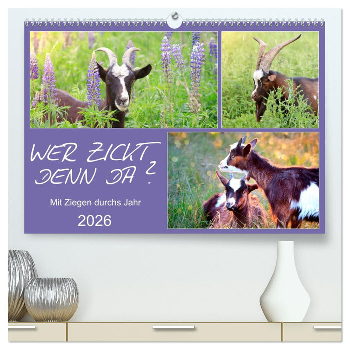 Wer zickt denn da? Mit Ziegen durchs Jahr (CALVENDO Premium Wandkalender 2026)