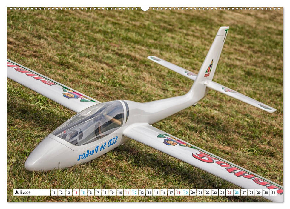 Vielfalt am Fliegerfest (CALVENDO Premium Wandkalender 2026)