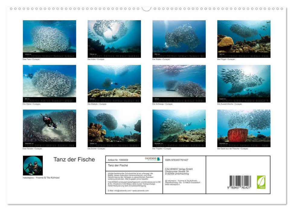 Tanz der Fische (CALVENDO Premium Wandkalender 2026)