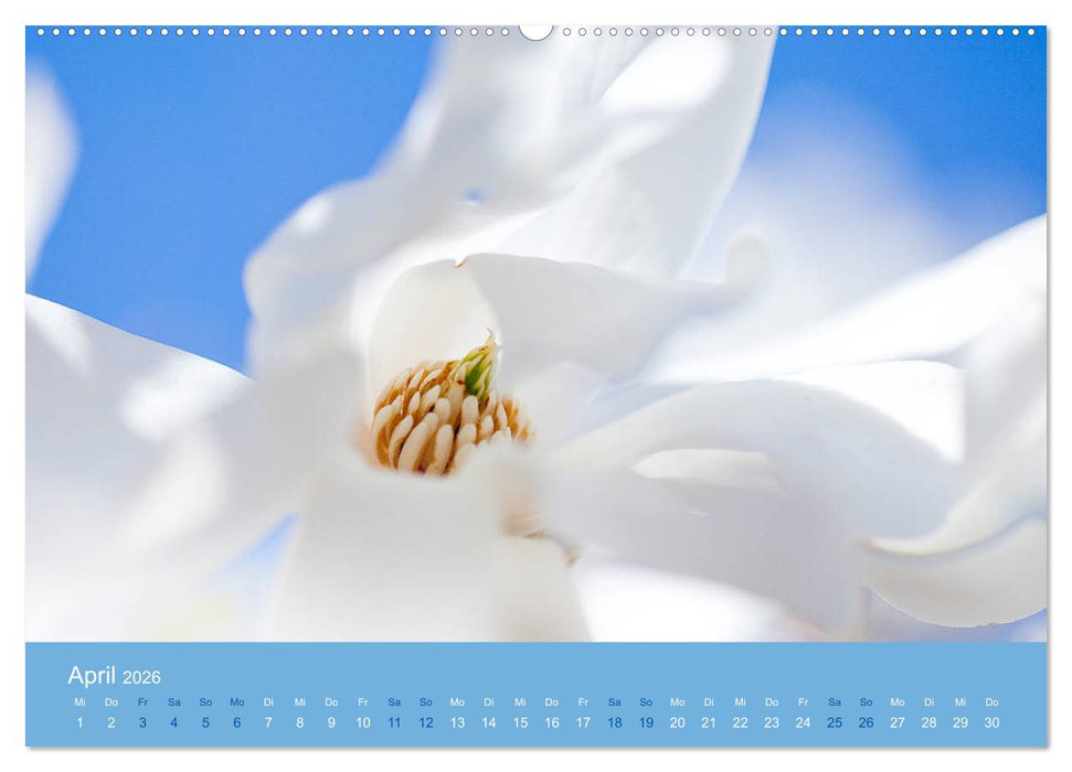 Farbwechsel - Die Farben der vier Jahreszeiten (CALVENDO Premium Wandkalender 2026)