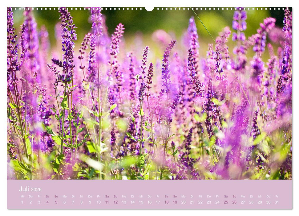 Farbwechsel - Die Farben der vier Jahreszeiten (CALVENDO Premium Wandkalender 2026)