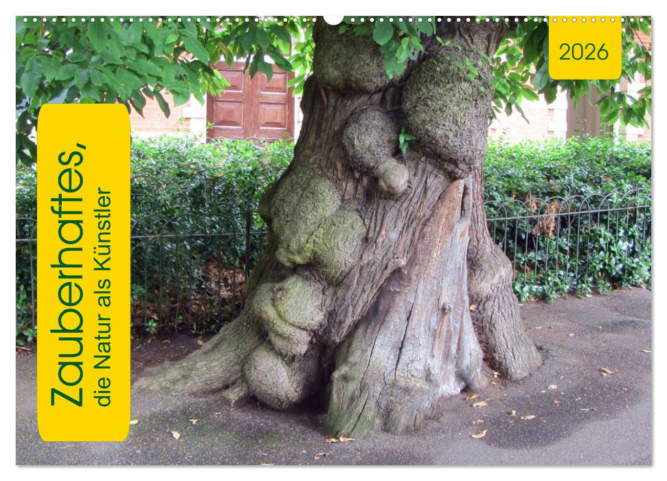 Zauberhaftes, die Natur als Künstler (CALVENDO Wandkalender 2026)