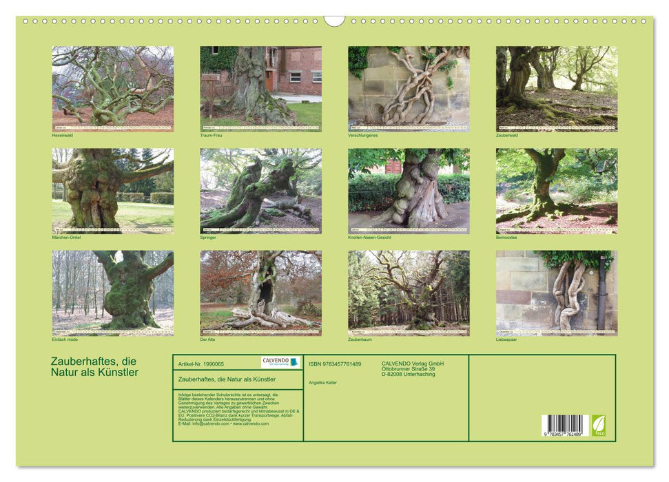 Zauberhaftes, die Natur als Künstler (CALVENDO Wandkalender 2026)