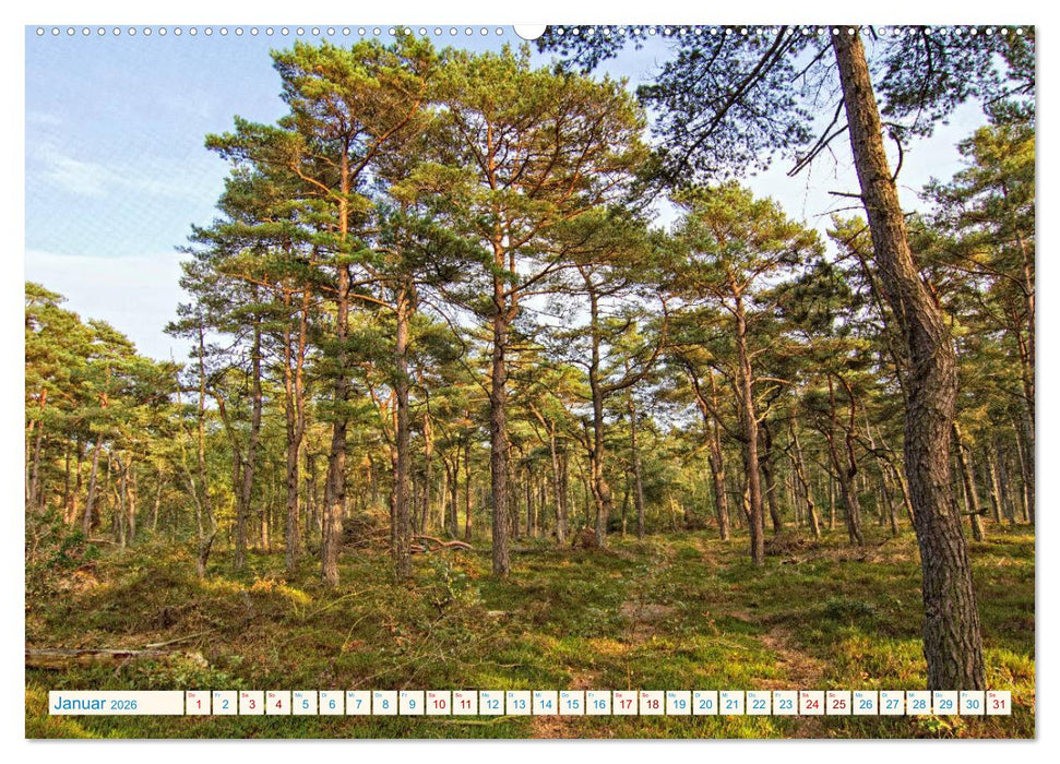 Cuxhaven, Landschaften zwischen Küste und Heide (CALVENDO Premium Wandkalender 2026)