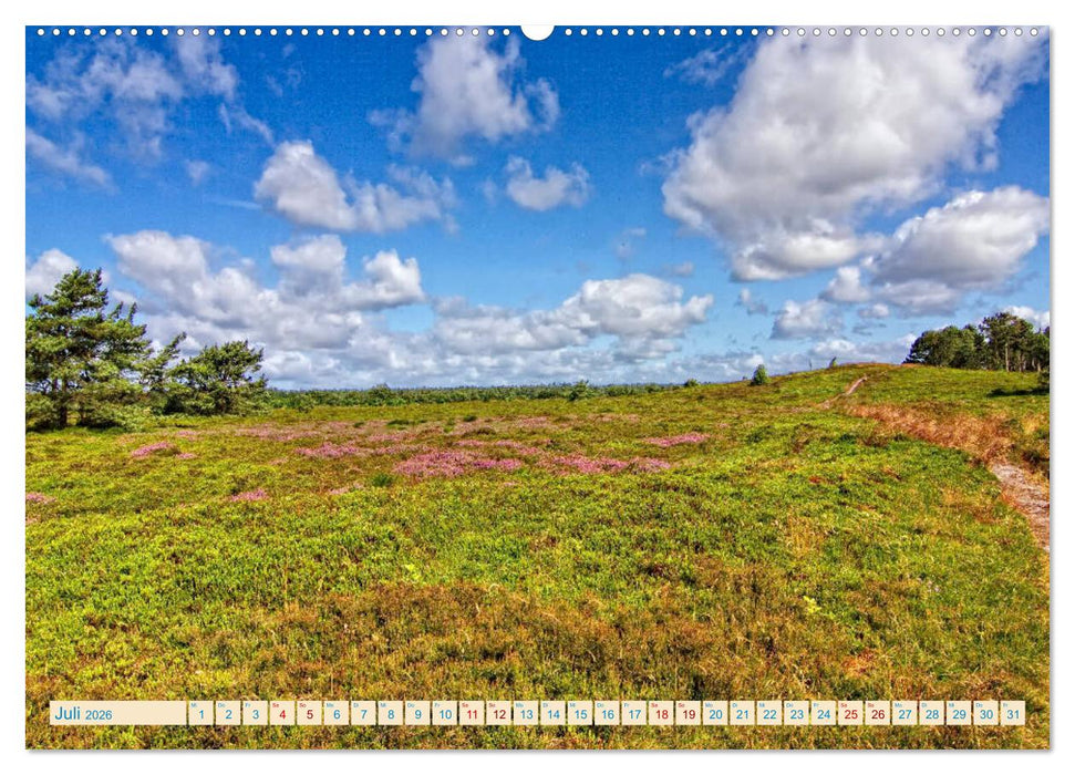 Cuxhaven, Landschaften zwischen Küste und Heide (CALVENDO Premium Wandkalender 2026)
