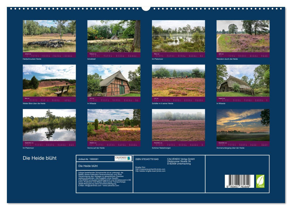 Die Heide blüht (CALVENDO Premium Wandkalender 2026)