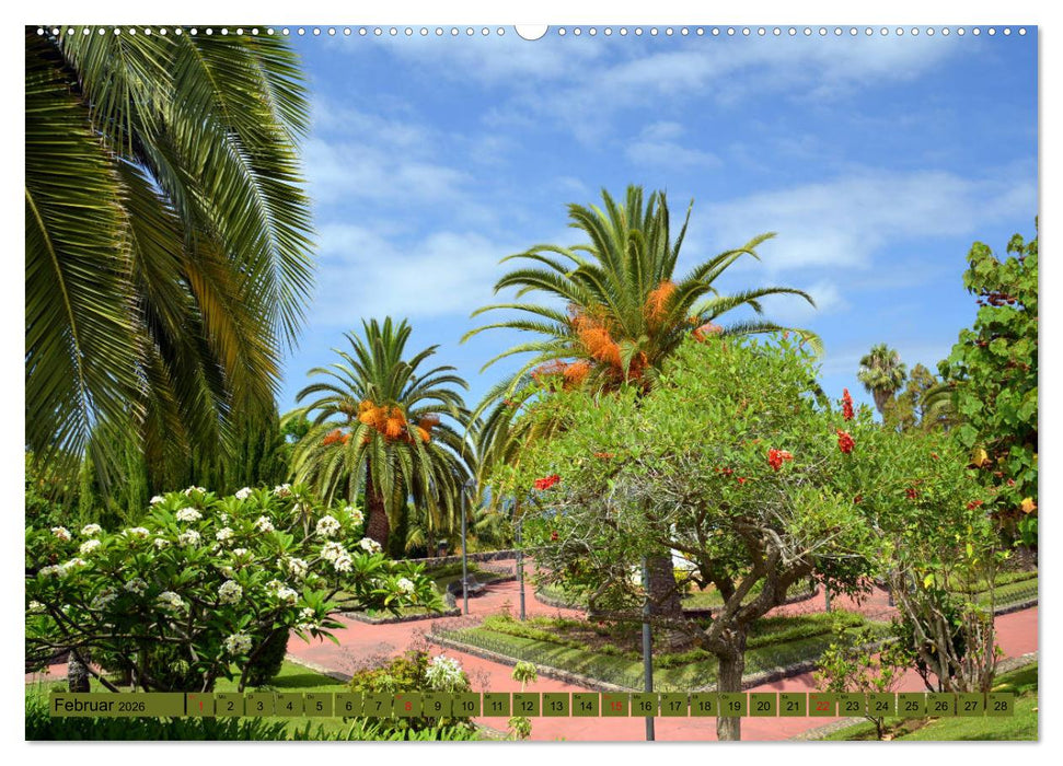 Pflanzenwelt Kanaren (CALVENDO Premium Wandkalender 2026)