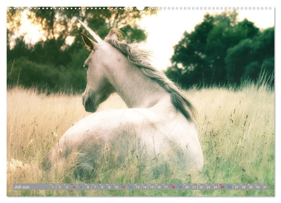 Fabeltier Einhorn (CALVENDO Premium Wandkalender 2026)